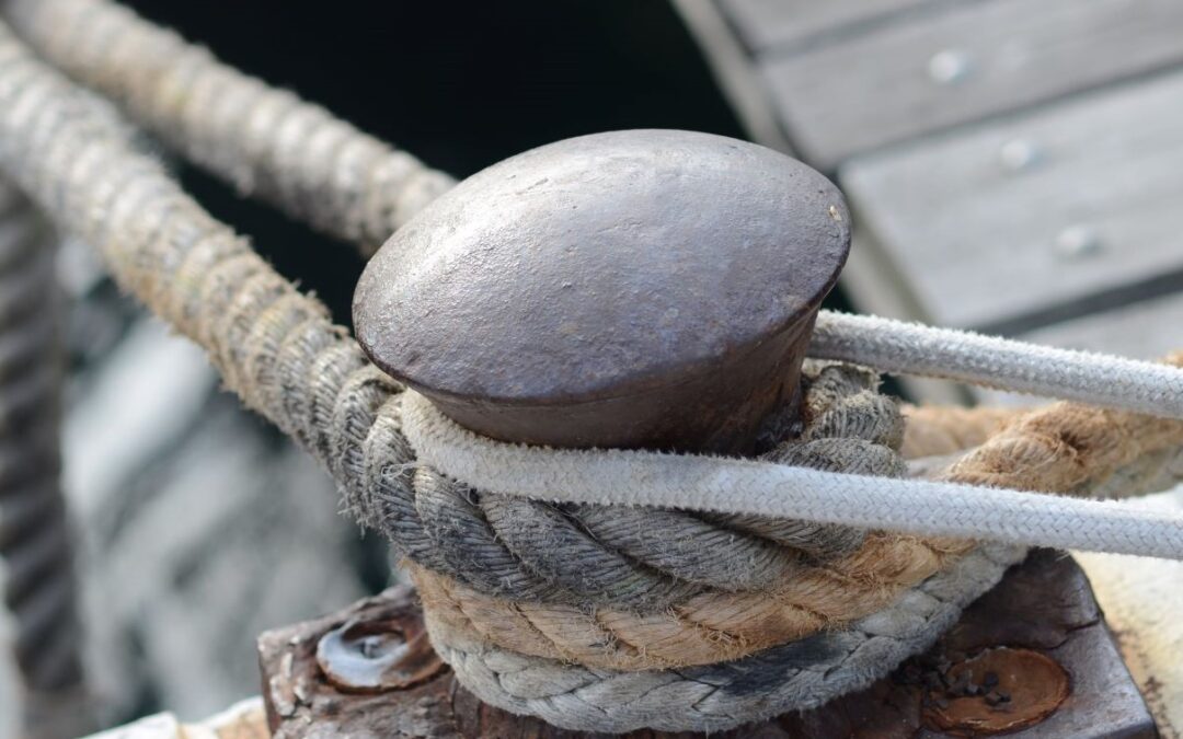 Bringing students on a voyage of discovery